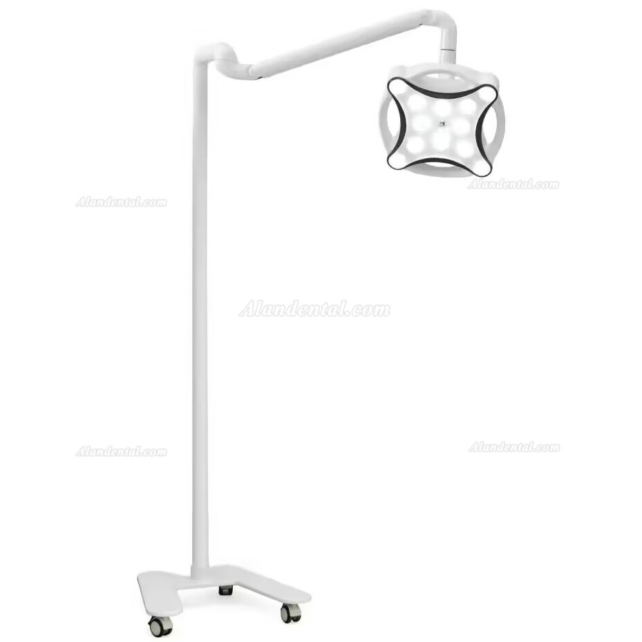 Micare JD1700 LED Minor Surgical Lamp Shadowless Light Operation Lamp For Dental Clinic